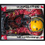 Senna 'Birdseye' (Canvas) Senna 'Birdseye' (Canvas)