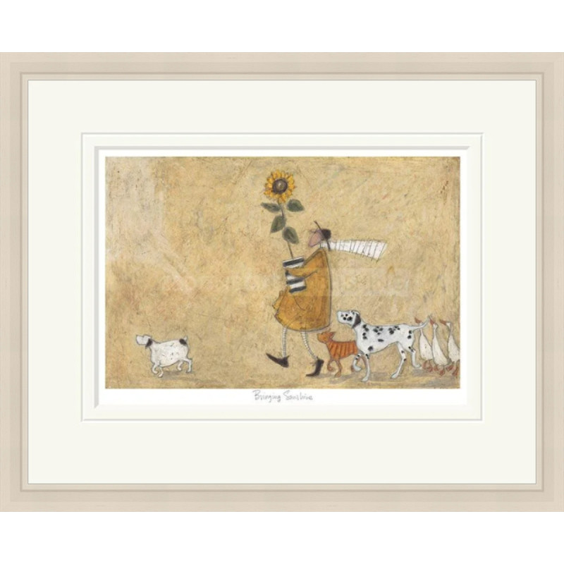 Sam Toft - Bringing Sunshine