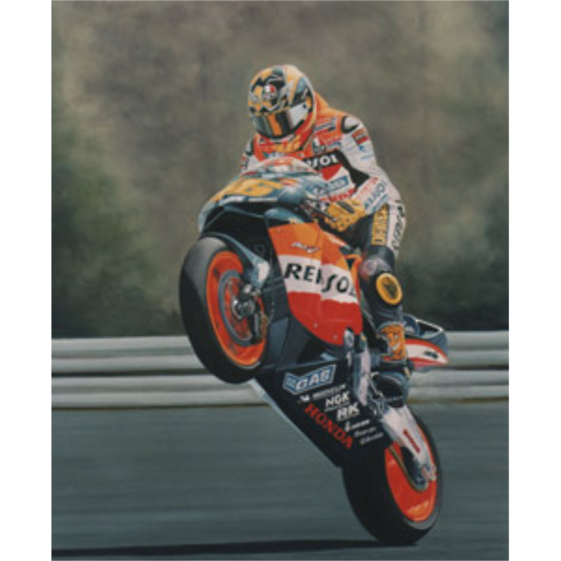 Champion Moto GP 2003 - Rod Organ Champion Moto GP 2003 - Rod Organ
