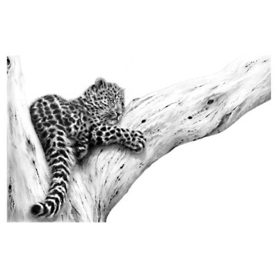 Out On A Limb (Amur Leopard)