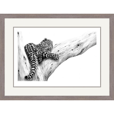 Out On A Limb (Amur Leopard)
