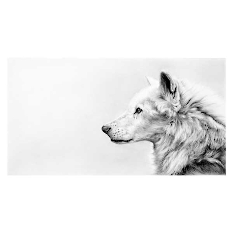 Endless Winter (Wolf) Endless Winter (Wolf)