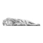 The Lazy King The Lazy King