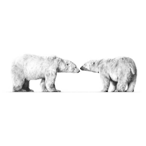 Cold Comfort (Polar Bear)