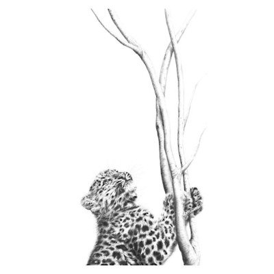 Out of Reach (Amur Leopard)