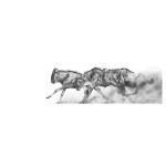 Migration (Wilderbeast) Migration (Wilderbeast)
