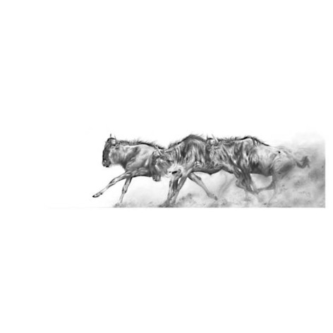 Migration (Wilderbeast) Migration (Wilderbeast)
