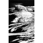Open Water (Polar Bear)