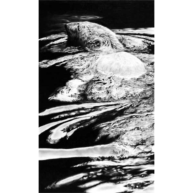 Open Water (Polar Bear)