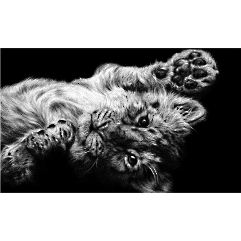 High Five High Five