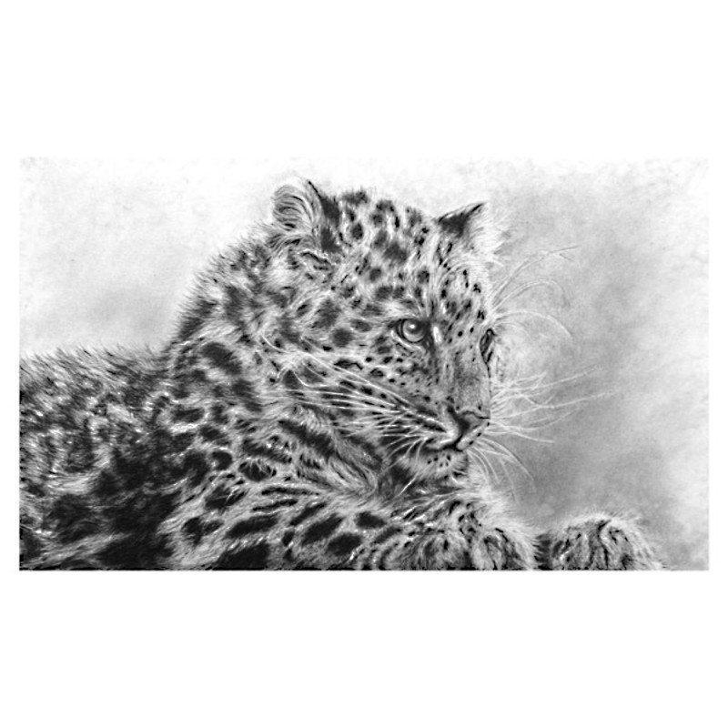 Mist of Amur (Amur Leopard)