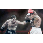 Carl Froch v Glen Johnson Carl Froch v Glen Johnson