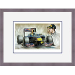 Sebastian Vettel - 2011 F1 World Champion