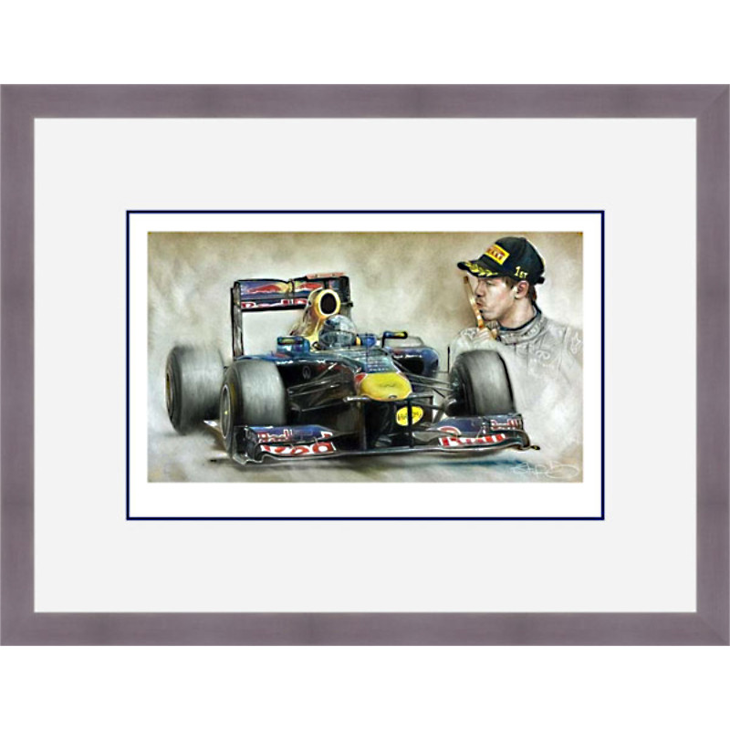 Sebastian Vettel - 2011 F1 World Champion
