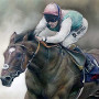 Horsepower - Frankel