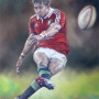 Leigh Halfpenny - Lions 2013