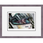 Lewis Hamilton - Eyes of A Champion Lewis Hamilton - Eyes of A Champion
