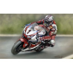 John McGuinness - Senior TT 2015 John McGuinness - Senior TT 2015