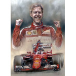 Victory In Hungary 2015 - Sebastian Vettel Victory In Hungary 2015 - Sebastian Vettel