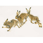 The Chase (Hares) - SML The Chase (Hares) - SML