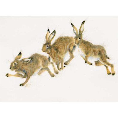 The Chase (Hares) - LGE