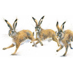 Playmates (Hares) - LGE Playmates (Hares) - LGE