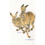 Going For Gold (Hares) Going For Gold (Hares)