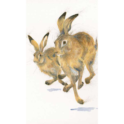 Going For Gold (Hares)