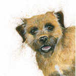 Buster (Border Terrier) Buster (Border Terrier)