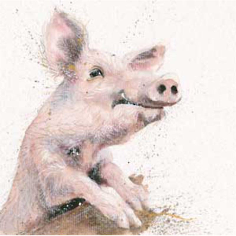 Hogwart (Pig) Hogwart (Pig)