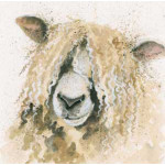 Lincoln (Lincoln Longwool) Lincoln (Lincoln Longwool)