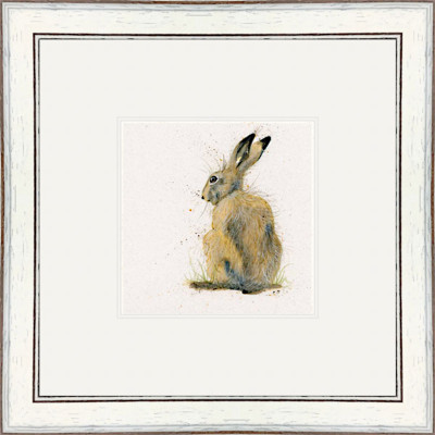 Sally (Hare) Sally (Hare)