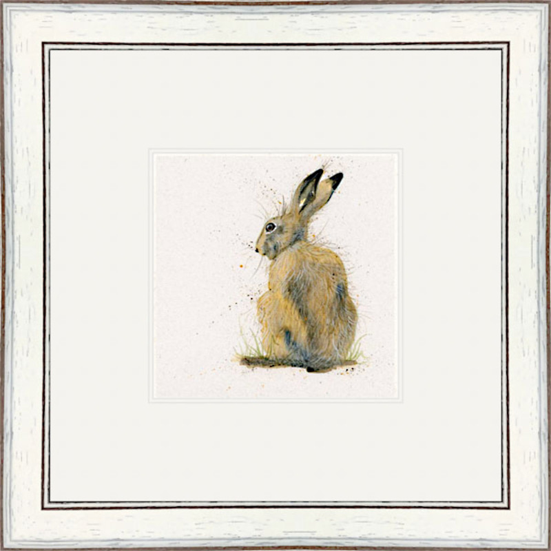 Sally (Hare)