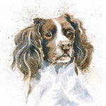 Sam (Springer)