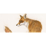Don't Look Back (Fox)