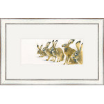 The Line Up (Hares) The Line Up (Hares)