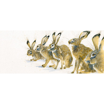 The Line Up (Hares)
