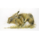 Gentle Touch (Hare) Gentle Touch (Hare)