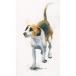 Hound Dog (Hounds) Hound Dog (Hounds)