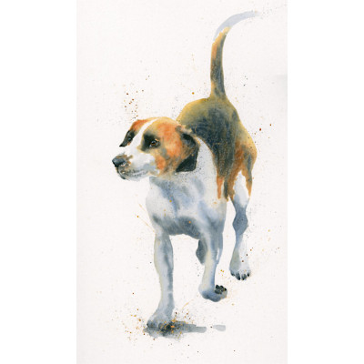 Hound Dog (Hounds)