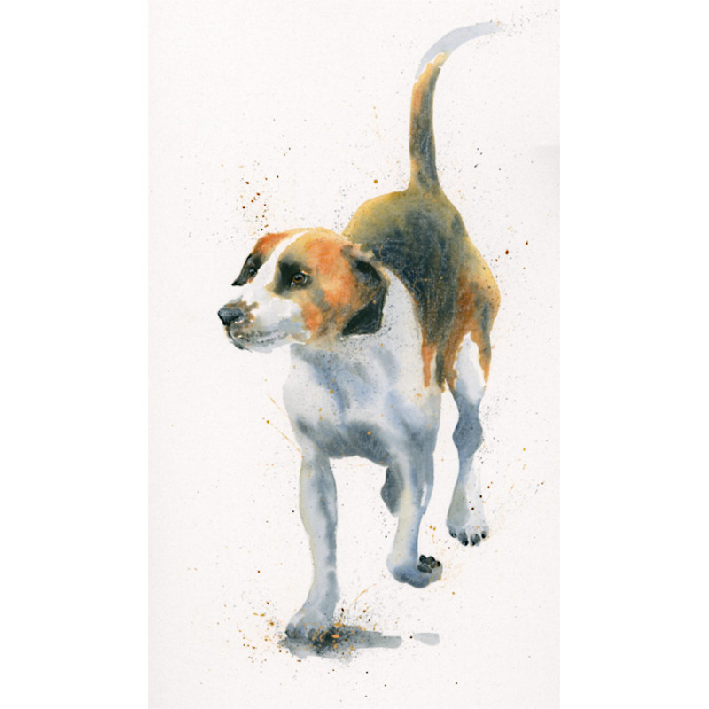Hound Dog (Hounds) Hound Dog (Hounds)