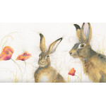 Field of Dreams (Hares) Field of Dreams (Hares)
