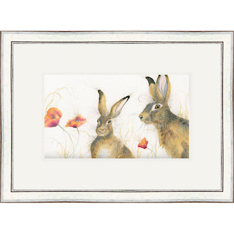 Field of Dreams (Hares) Field of Dreams (Hares)