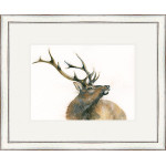 Monarch Of The Glen (Stag) - SML Monarch Of The Glen (Stag) - SML