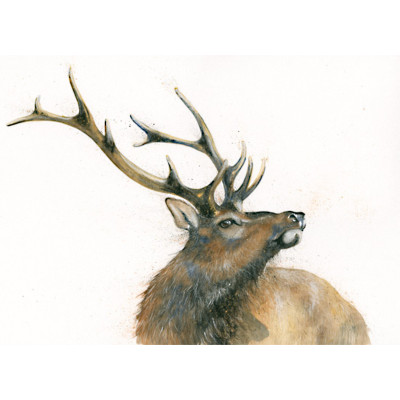 Monarch of The Glen (Stag) - LGE