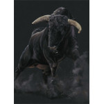 Raging Bull Raging Bull