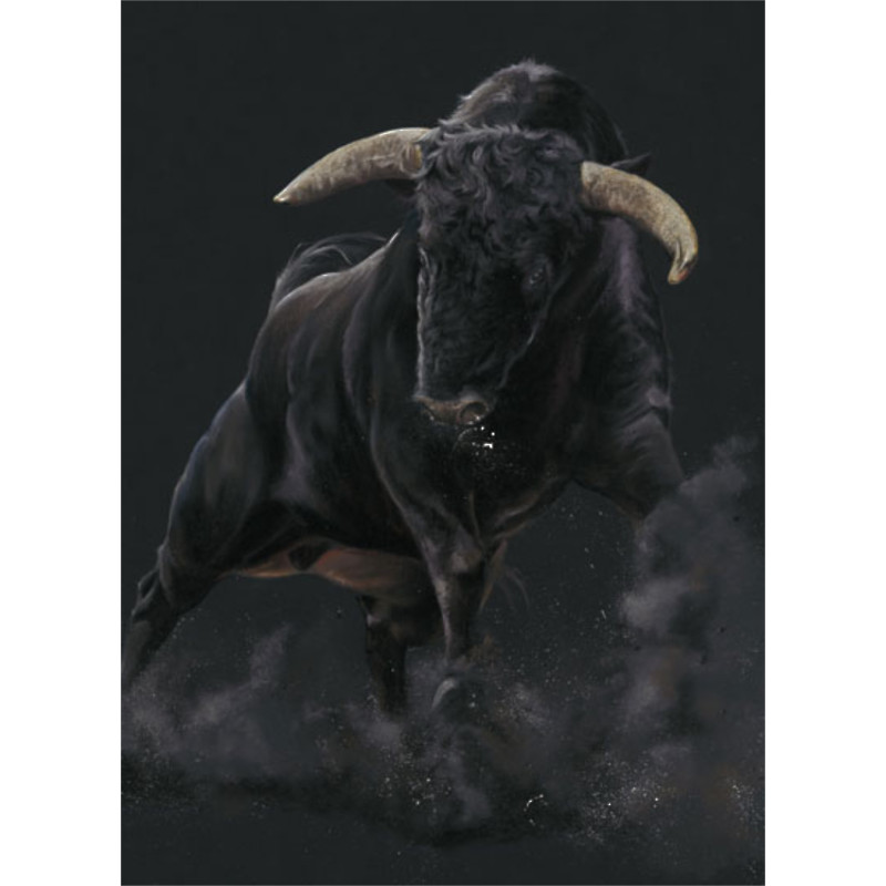 Raging Bull Raging Bull