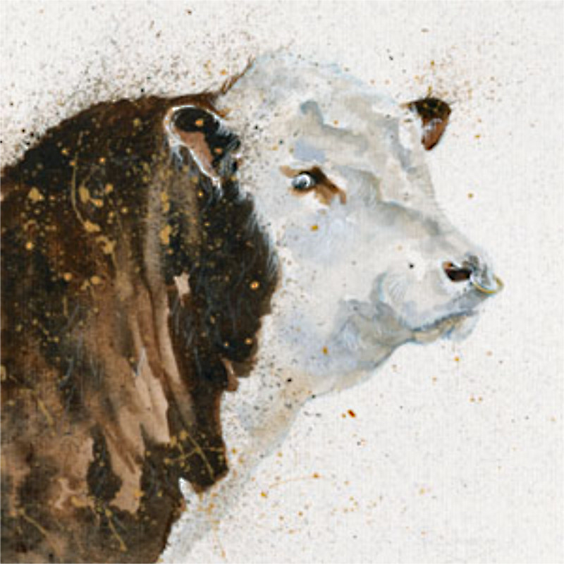 Wellington (Hereford Bull) Wellington (Hereford Bull)