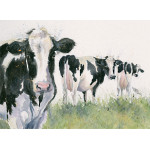 Cheeky Girls (Dairy Cows) Cheeky Girls (Dairy Cows)