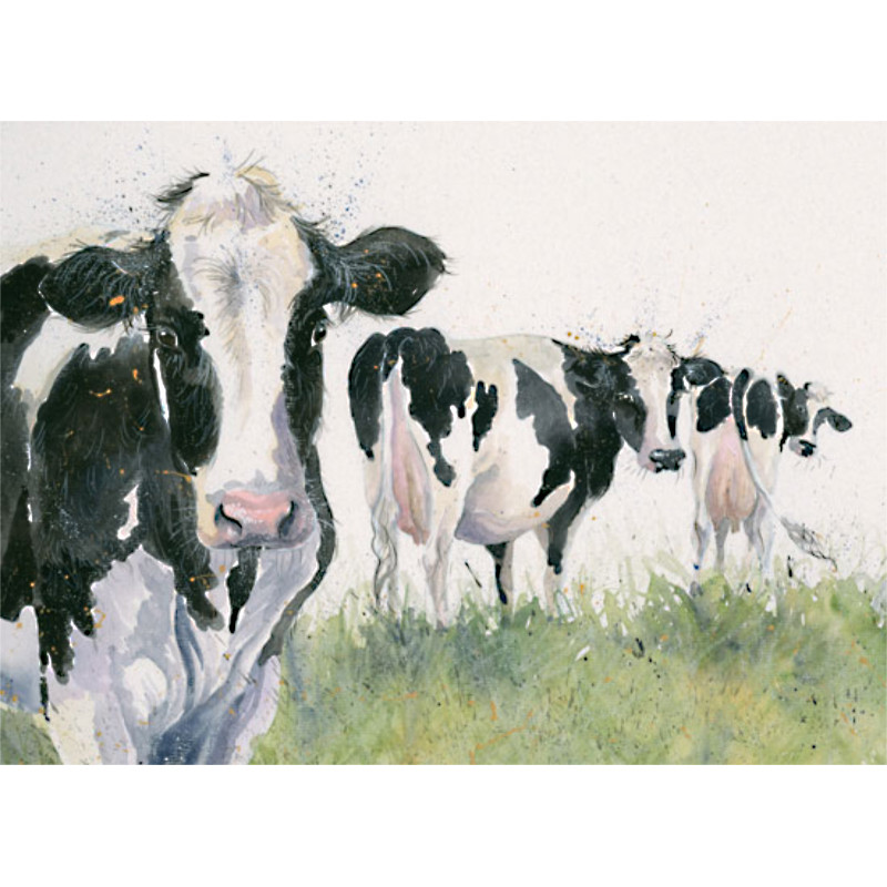 Cheeky Girls (Dairy Cows) Cheeky Girls (Dairy Cows)